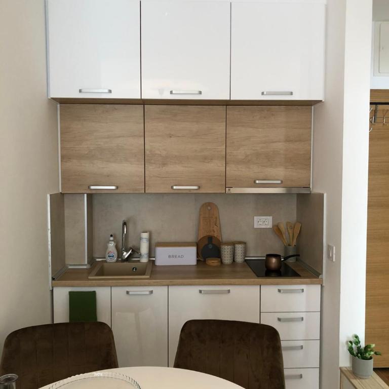 Apartman Lidija Zlatibor - Apartman sa 1 Spavaćom Sobom - 3
