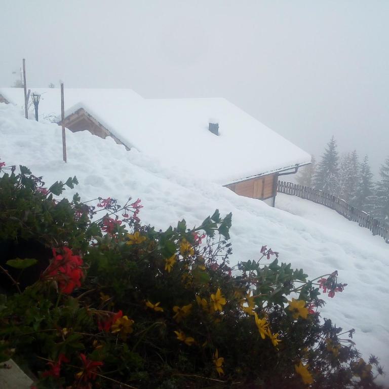 Chalet Niederhaushof - Ferienhaus - 8