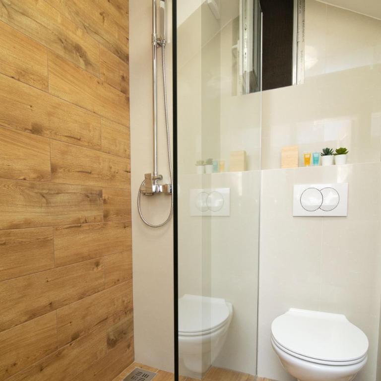 Vracar Vuk 2 - Apartman sa 1 Spavaćom Sobom - 5