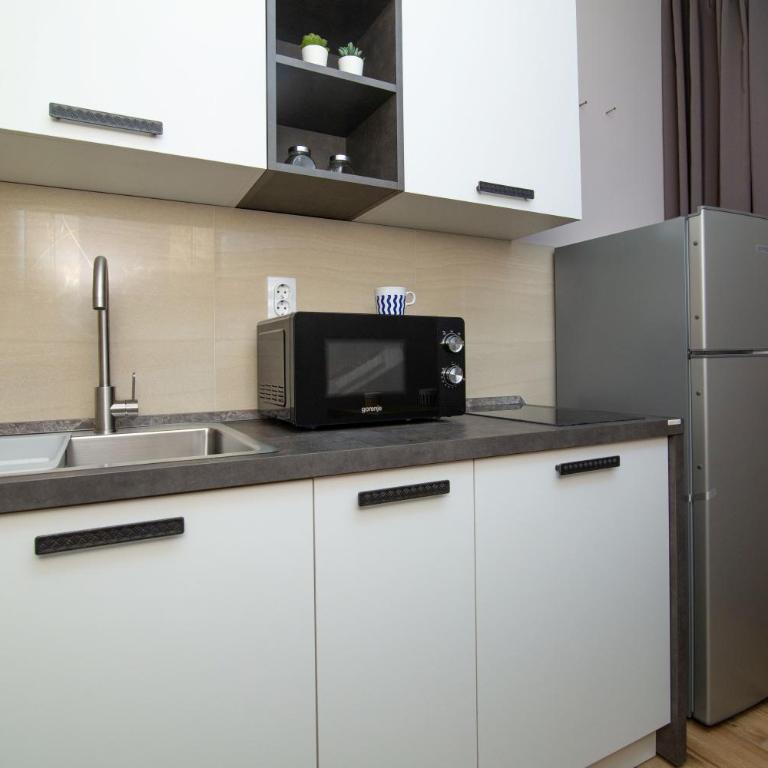 Vracar Vuk 1 - Apartman sa 1 Spavaćom Sobom - 9