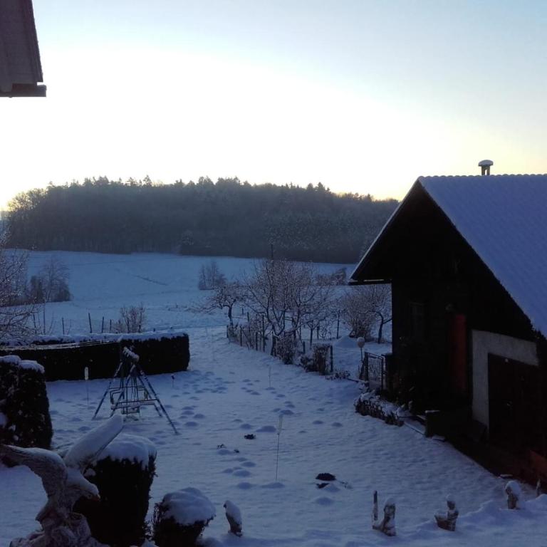 DAHOAM by Fam. FRANZ - Apartment mit Terrasse - 46