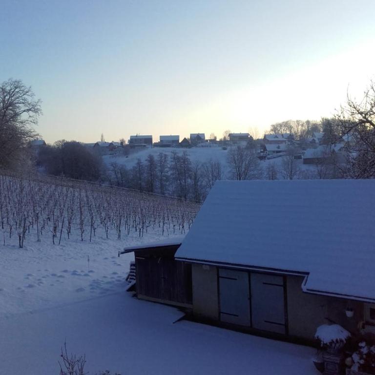 DAHOAM by Fam. FRANZ - Apartment mit Terrasse - 49