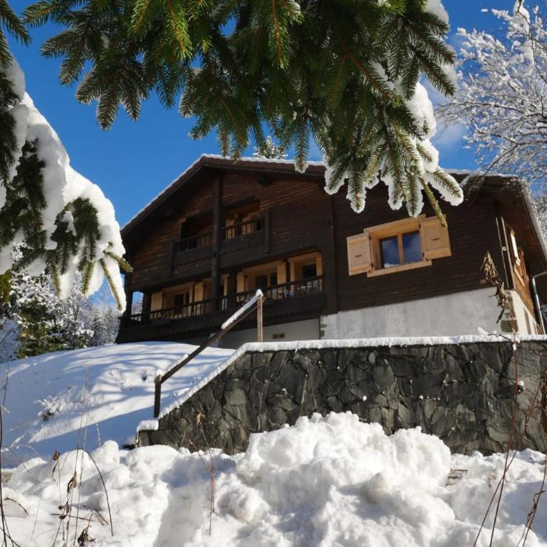 Sous les Ecotagnes - Chalet Supérieur - 11
