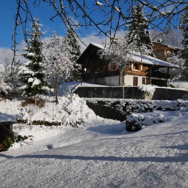 Sous les Ecotagnes - Chalet Supérieur - 5