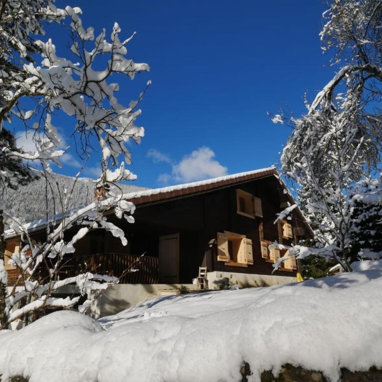 Sous les Ecotagnes - Chalet Supérieur - 39