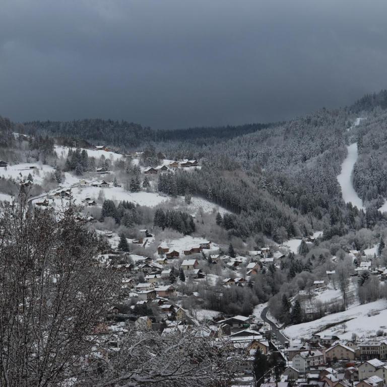 Apartement sur les hauteurs de Gerardmer avec une SUPERBE VUE - Appartement 2 Chambres - 12
