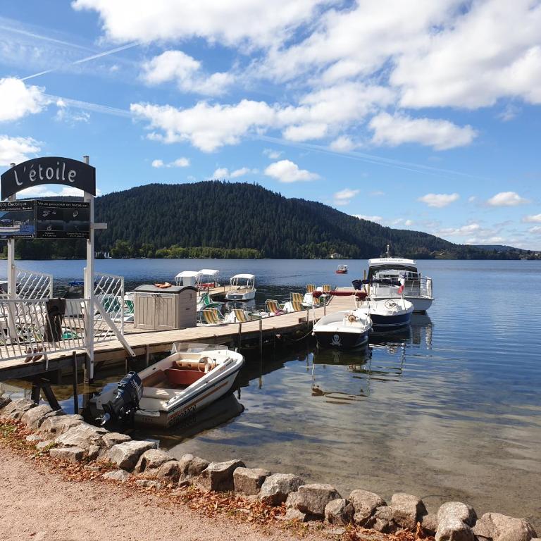 Apartement sur les hauteurs de Gerardmer avec une SUPERBE VUE - Appartement 2 Chambres - 11