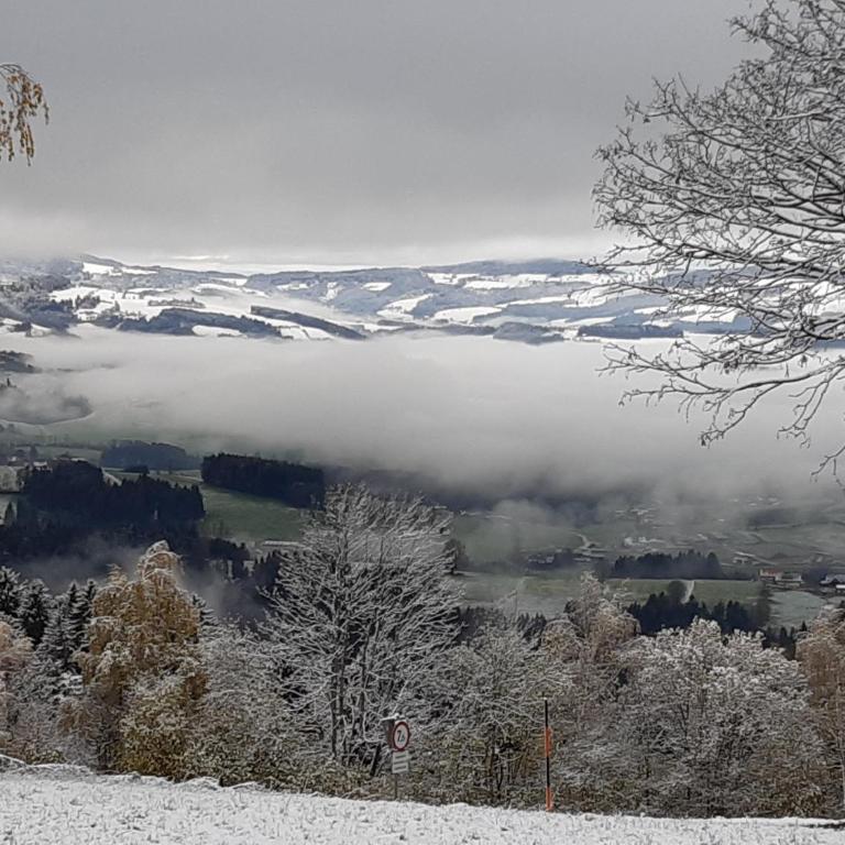 Winter´s Panoramahäuschen - Ferienhaus - 19