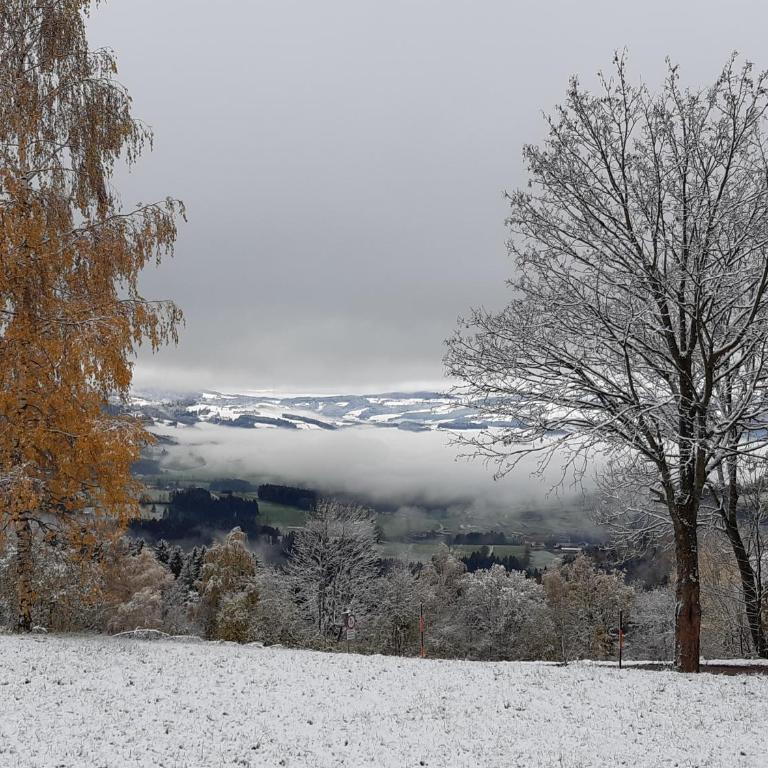 Winter´s Panoramahäuschen - Ferienhaus - 33