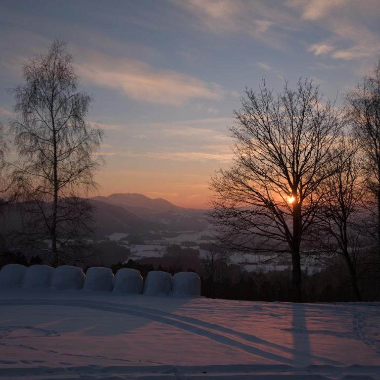 Winter´s Panoramahäuschen - Ferienhaus - 30