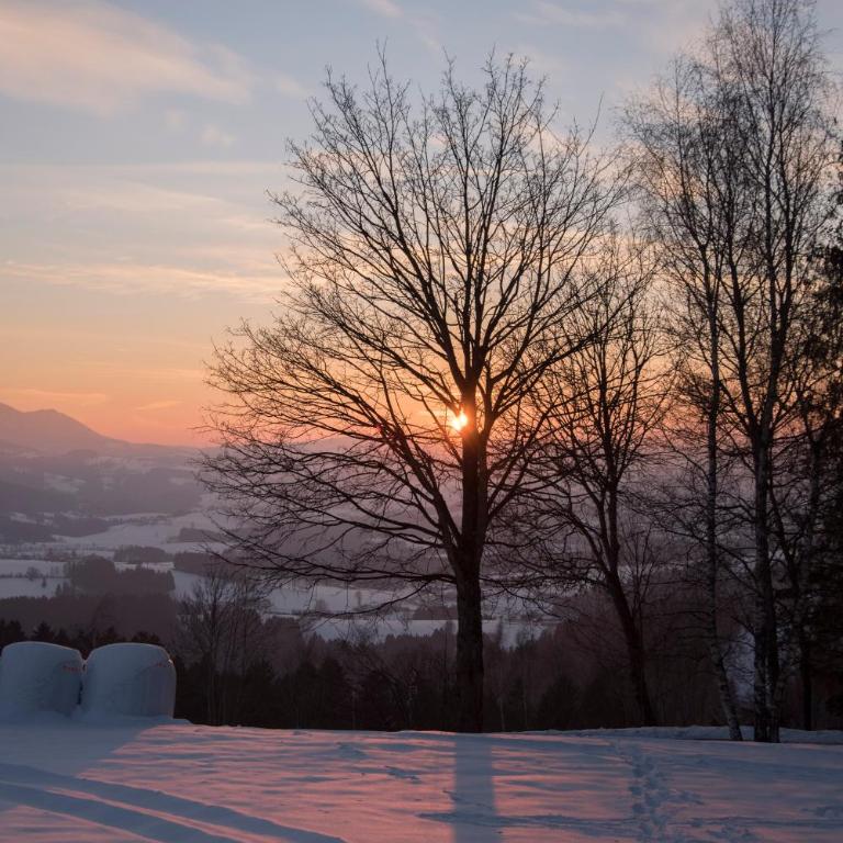 Winter´s Panoramahäuschen - Ferienhaus - 29