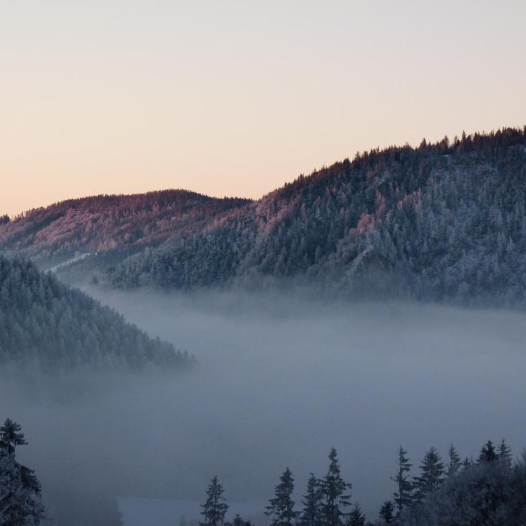 Winter´s Panoramahäuschen - Ferienhaus - 28
