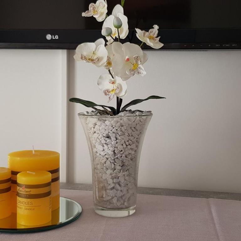 Alpe-Adria Apartment Chanel (Top 6 mit Garten) - Apartment mit 1 Schlafzimmer - 5