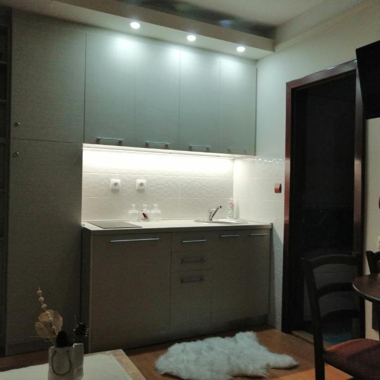 Apartment Lavina Kopaonik - One-Bedroom Apartment - 22
