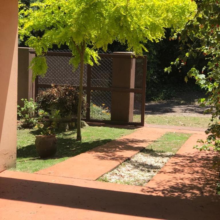 Los 3 Gringos Casa Bosque P Ramos - Vacation Home - 3