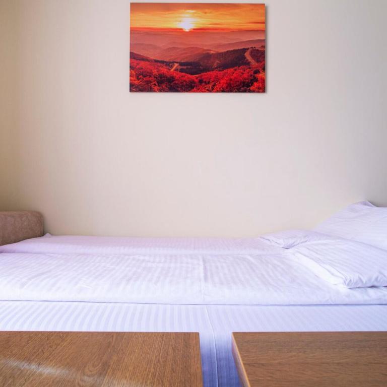 HostGost at Kraljevi Čardaci - Apartment - 11