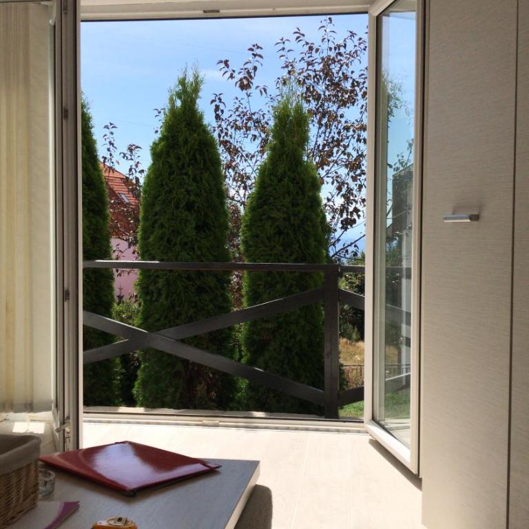 Kopaonik apartmani u Kraljevim Čardacima , Čar 27 i 6-13 - Apartment - 9