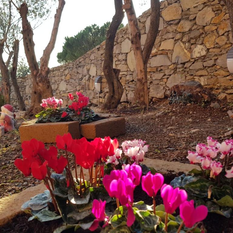 Poggio degli Ulivi - Appartamento con 1 Camera da Letto - 59