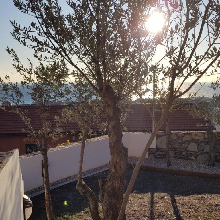 Poggio degli Ulivi - Appartamento con 1 Camera da Letto - 62