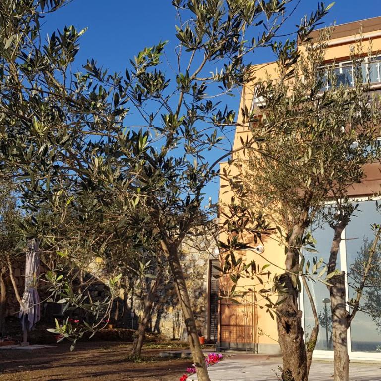Poggio degli Ulivi - Appartamento con 1 Camera da Letto - 69