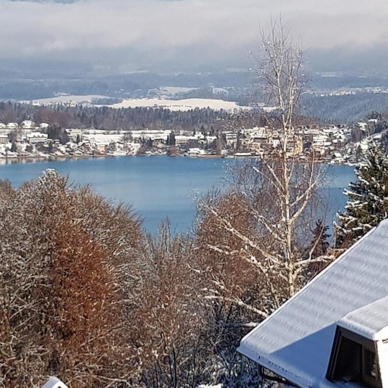 Alpe-Adria Apartment Chanel (Top 6 mit Garten) - Apartment mit 1 Schlafzimmer - 36