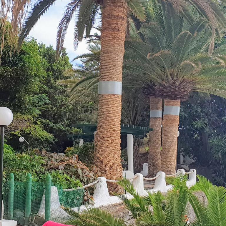 Pequeño paraíso frente al mar Playa Chica - Apartamento con vistas al mar - 34