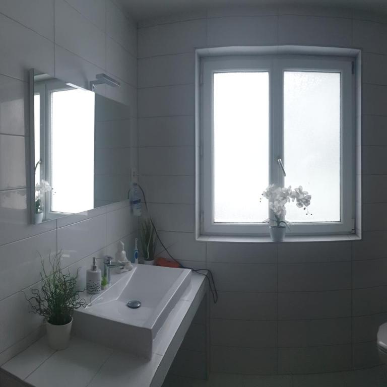 Mistel Apartman - Apartment - 9