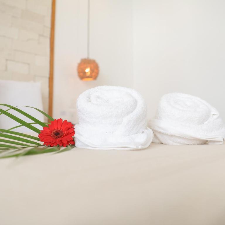 Hotel Blanco Tulum Adults Only - Suite Presidencial - 5