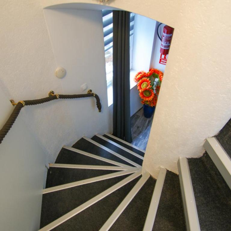 Haus Renè - Studio-Apartment - 10