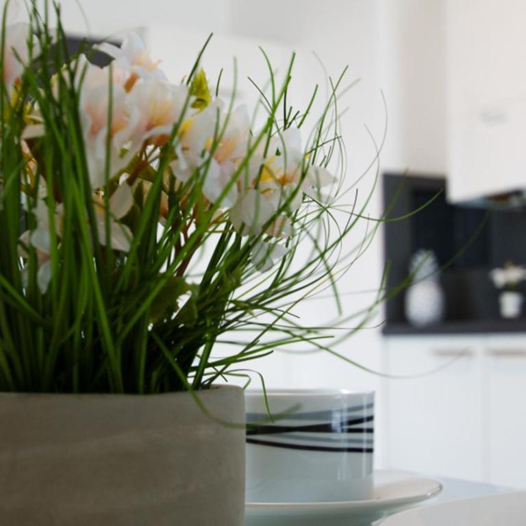 Haus Renè - Studio-Apartment - 12
