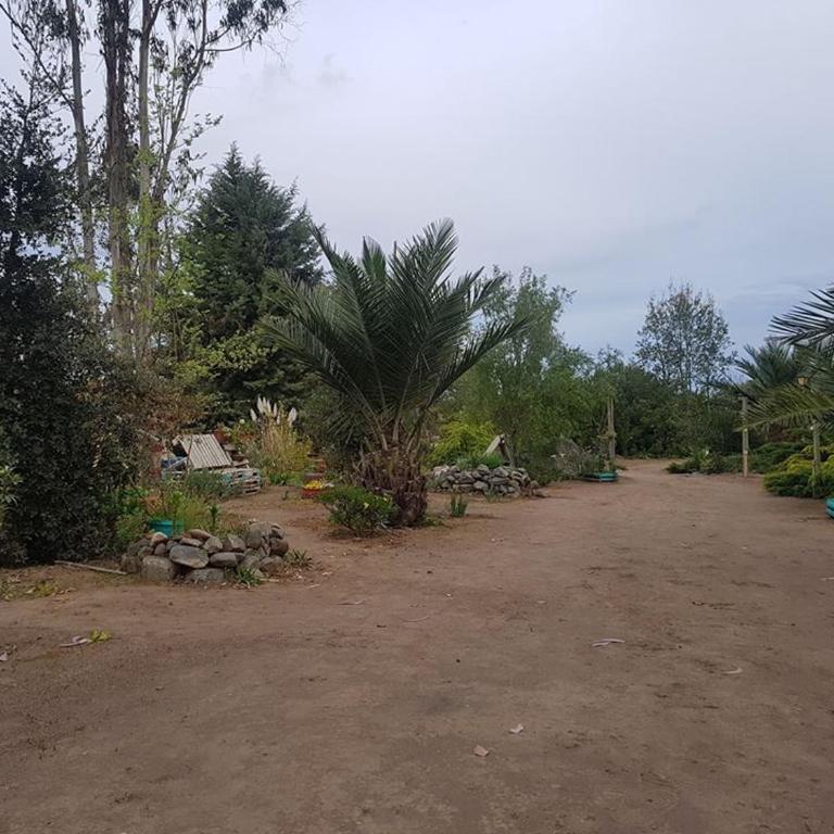 Centro Campestre Pequeño Faisán - Vacation Home - 11