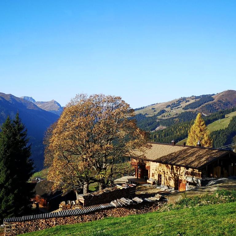 Sinnlehen Alm - Maison 5 Chambres - 84