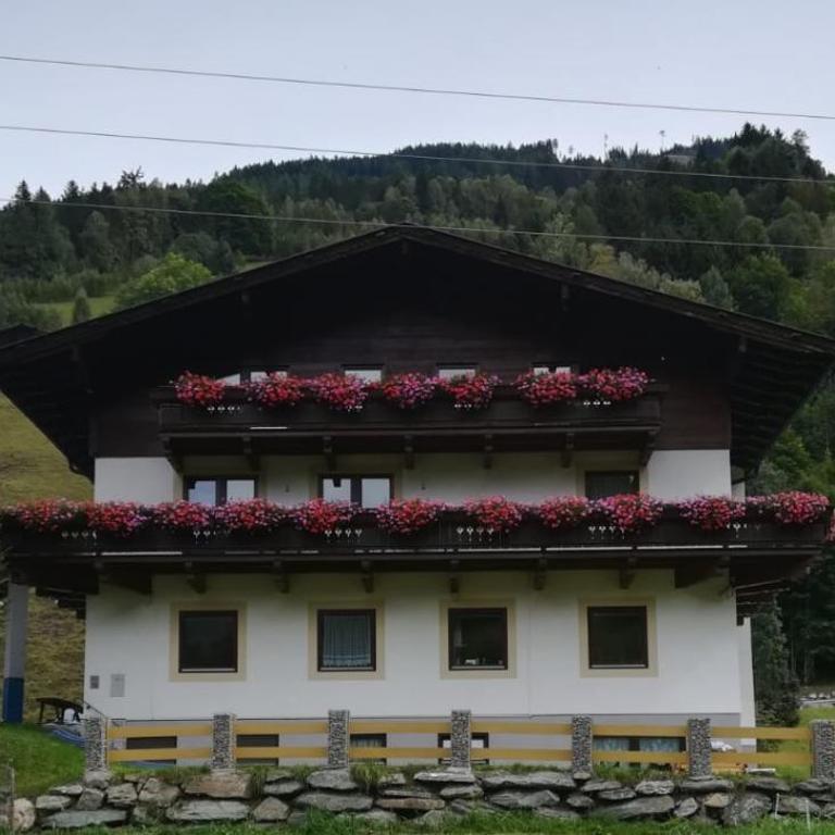 Ferienwohnung Seidl Top 2 - Apartment mit 1 Schlafzimmer - 2