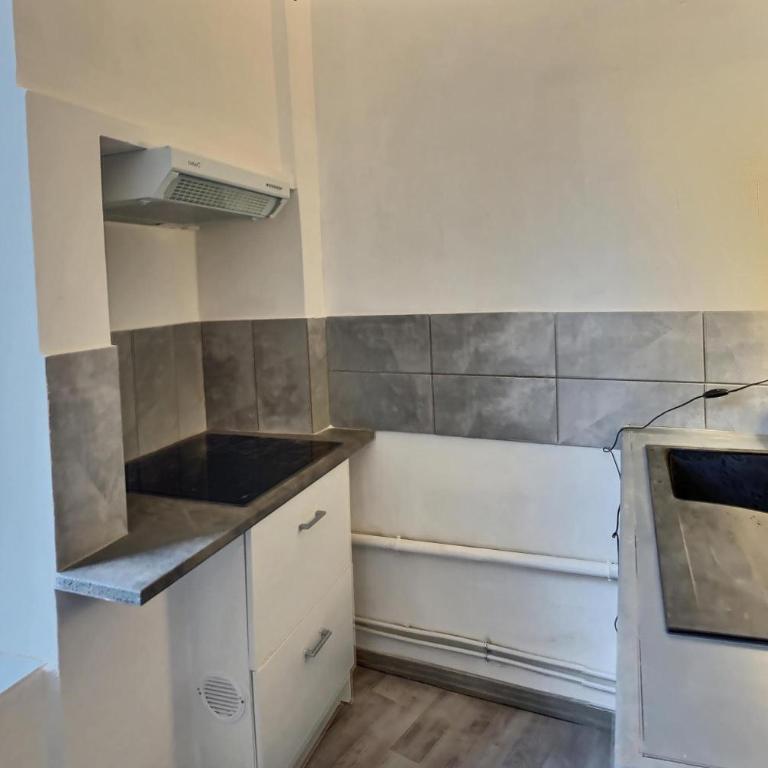 Des appartements au calme dans un immeuble historique - Appartement 1 Chambre - 11