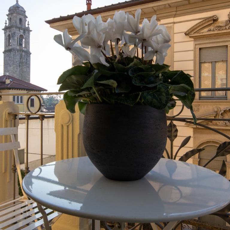 Aqualago casa vacanze apartment D - Appartamento - 11