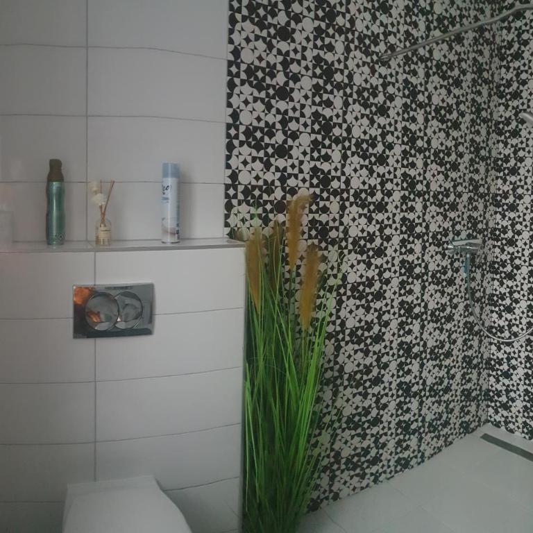 Mistel Apartman - Apartment - 3