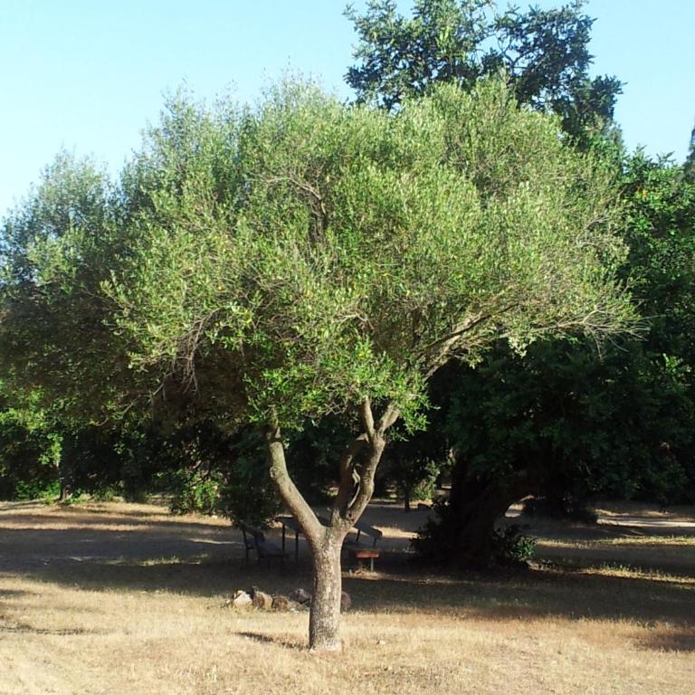 La Casa di Sara - Casa con 3 Camere da Letto - 3