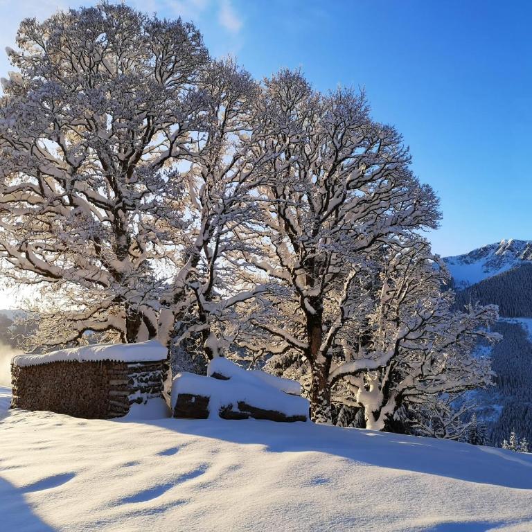 Sinnlehen Alm - Maison 5 Chambres - 21