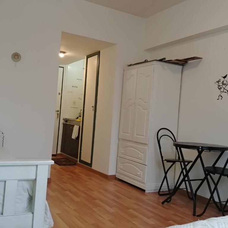 Departamento luminoso en el centro de Buenos Aires - One-Bedroom Apartment - 19