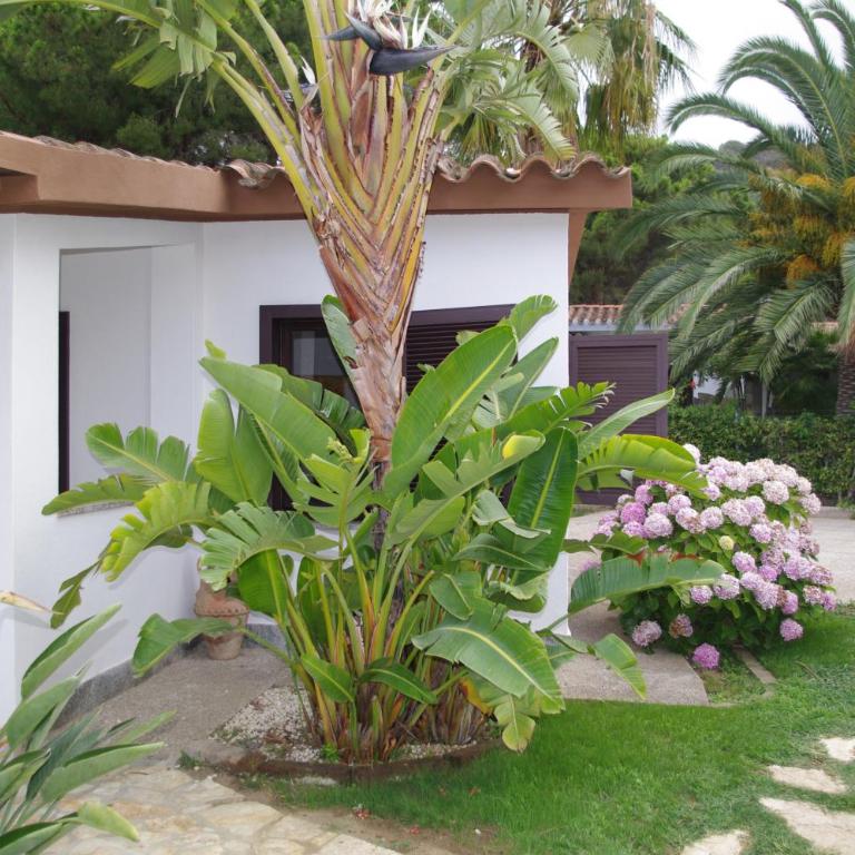 Villa Caterina a pochi passi dalla spiaggia con 3 Camere e Giardino Privato - Casa con 3 Camere da Letto - 42