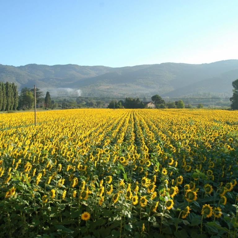 Holiday Home Il Moro Novo - Casa Vacanze - 21
