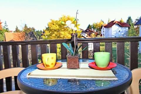 Apartments Vila Velickovic - Apartment with Terrace - 3