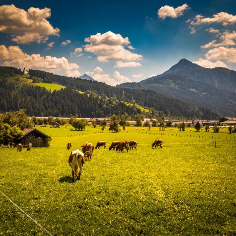 Ferienhof Unterlehengut - Apartment mit Blick auf die Berge - 14