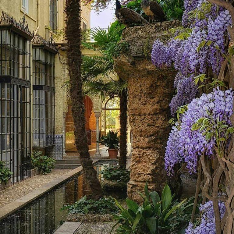 Granada City Center - Apartment - 26
