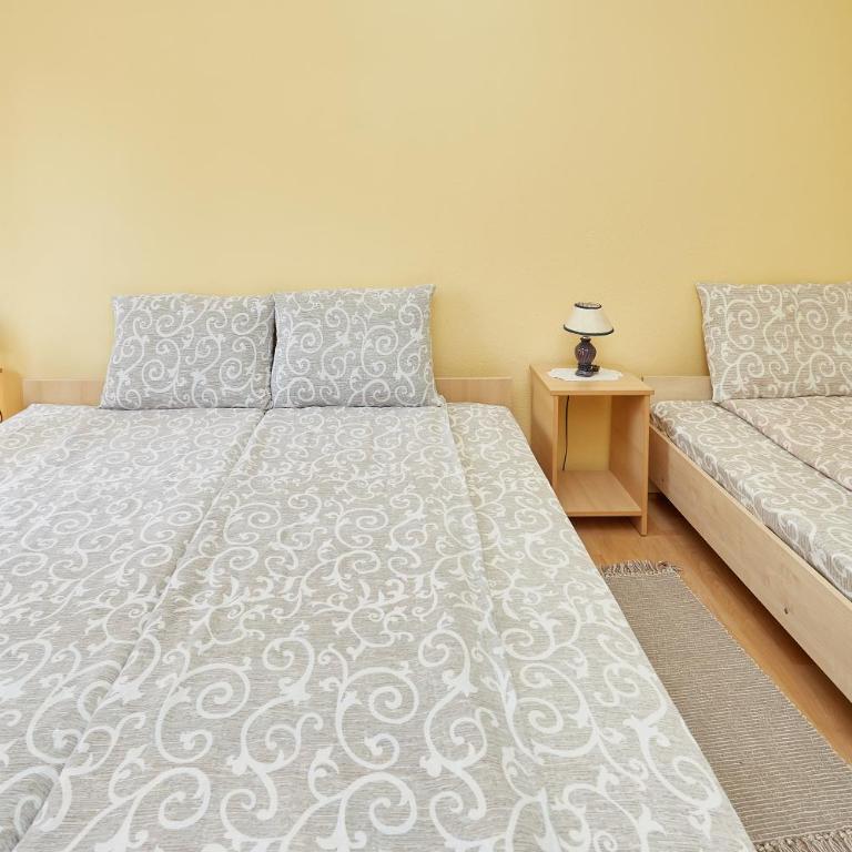 Apartmani Stojadinović - Apartman sa Terasom - 2