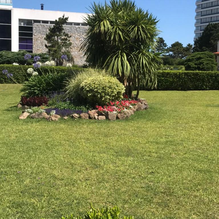 Antibes - Apartment - Ground Floor - 36