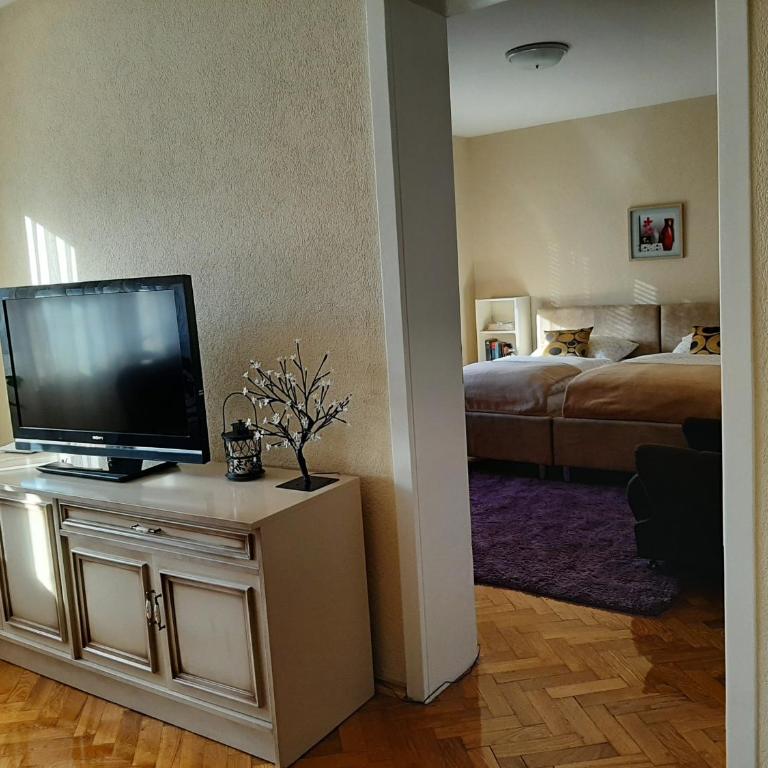 Magnolija - Apartman sa 3 Spavaće Sobe - 14