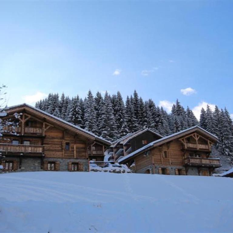 CHALET NEUF -SAINT JEAN D'AULPS STATION 12 PERSONNES - CIMES C6 - Chalet - 26