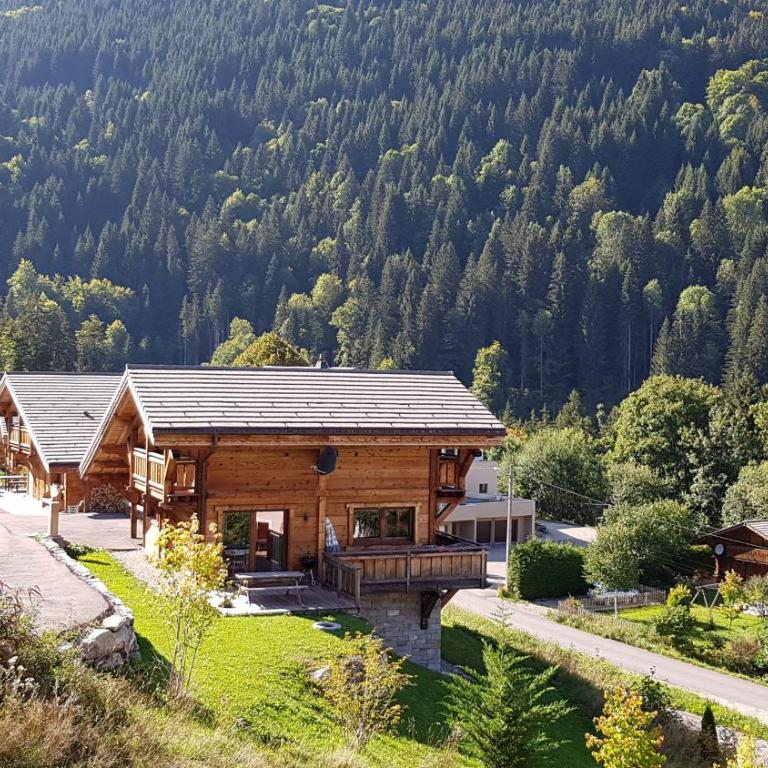 CHALET NEUF -SAINT JEAN D'AULPS STATION 12 PERSONNES - CIMES C6 - Chalet - 3