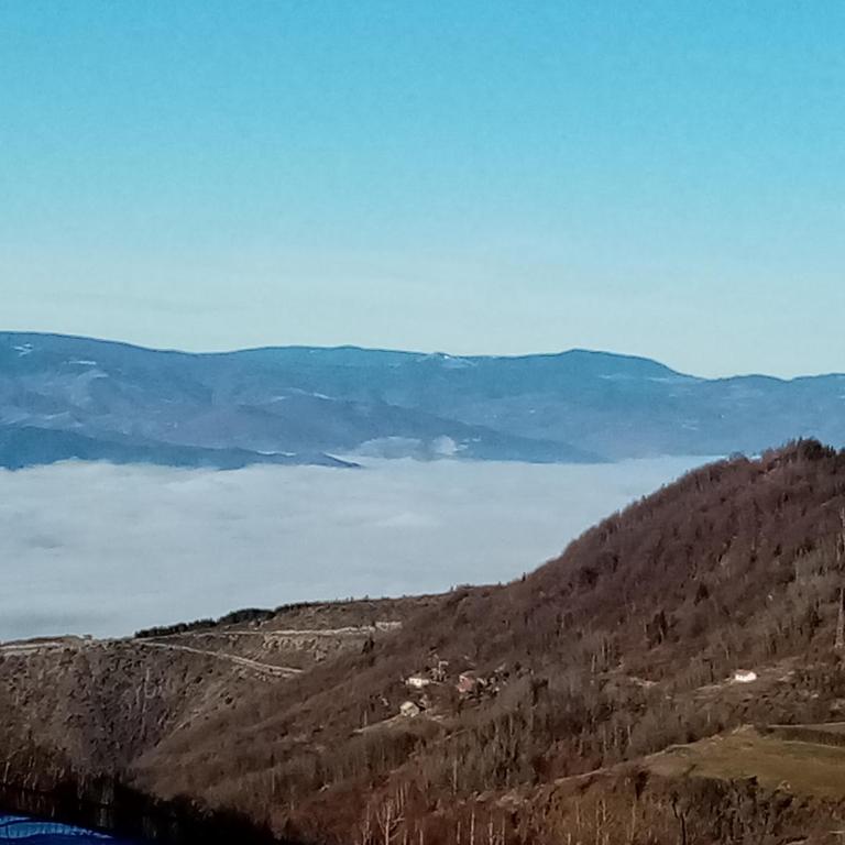Pčelica L15 Milmari - Studio with Mountain View - 2
